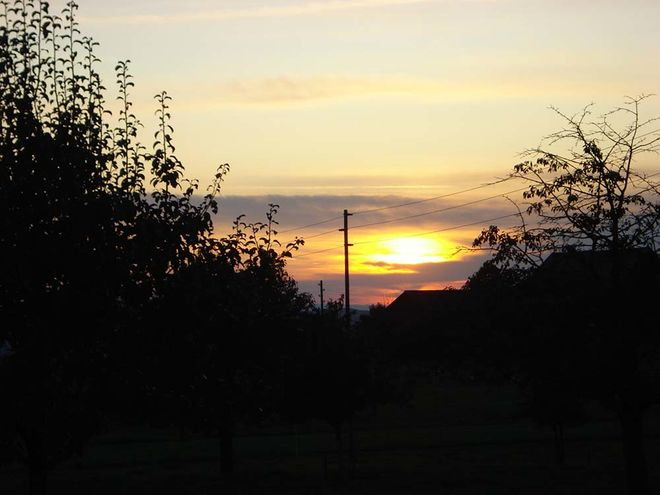 Zoom: 101_0527.jpg