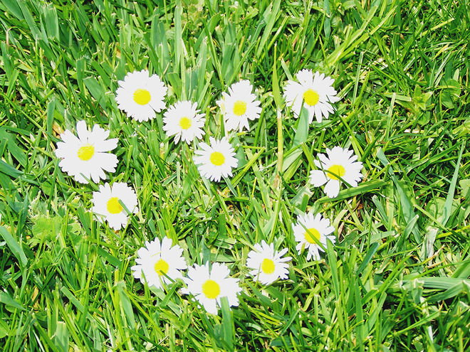 Zoom: 100_1520.jpg