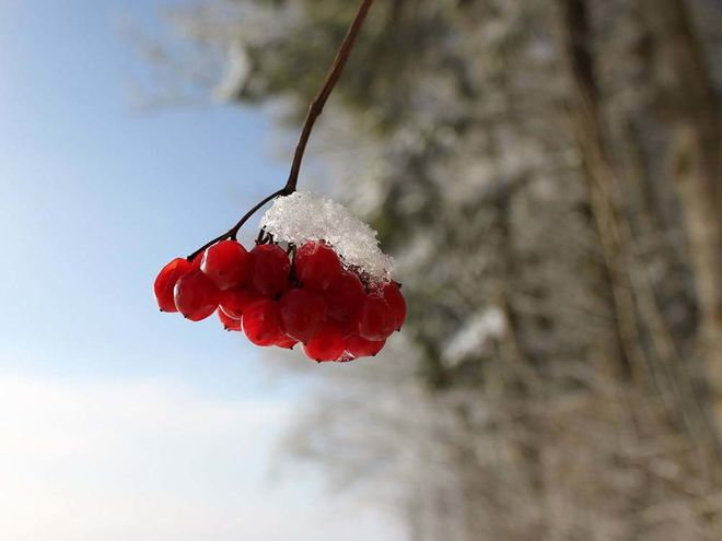 Zoom: img_4287.jpg