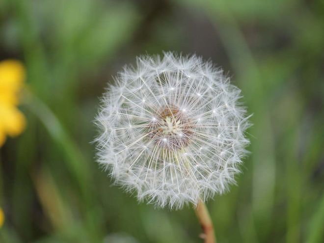 Zoom: img_1020.jpg