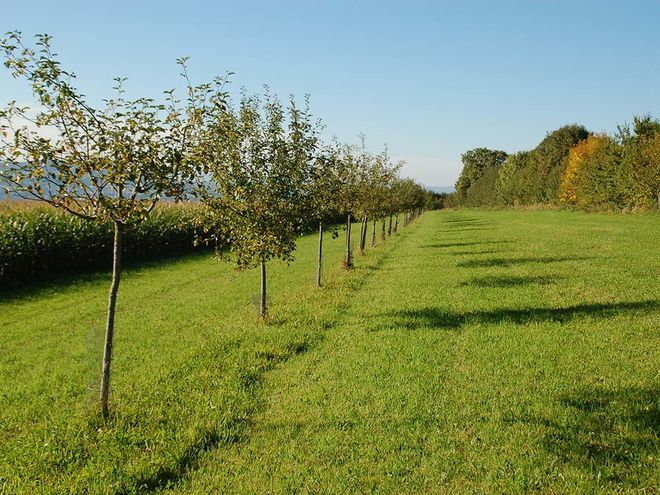 Zoom: susanne_gerig-_troleten.jpg