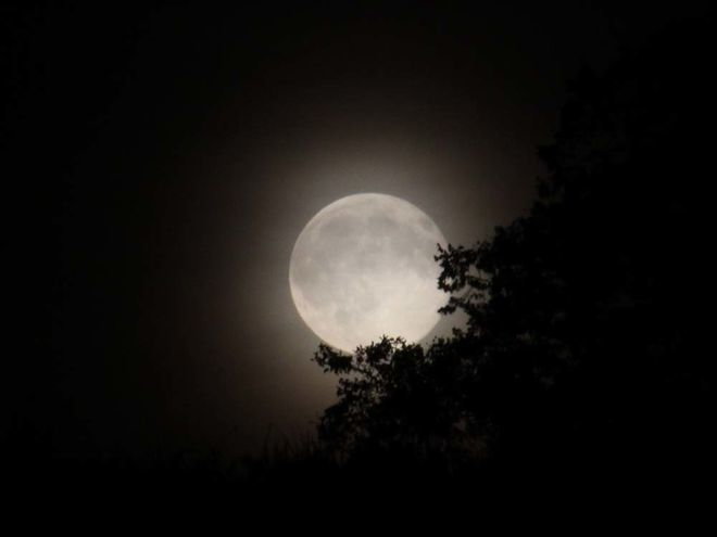 Zoom: img_2997.jpg