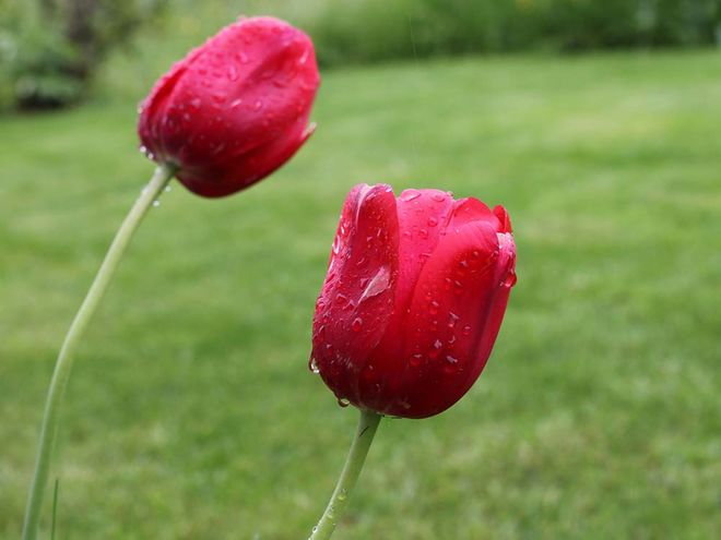Zoom: img_1066.jpg