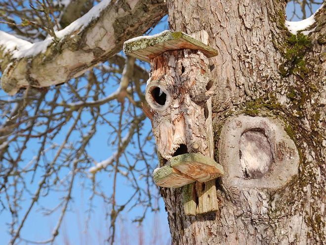 Zoom: troleten-_walters_vogelhusli_susanne_gerig.jpg