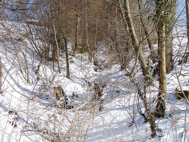 Zoom: tobel-_schonboden.jpg