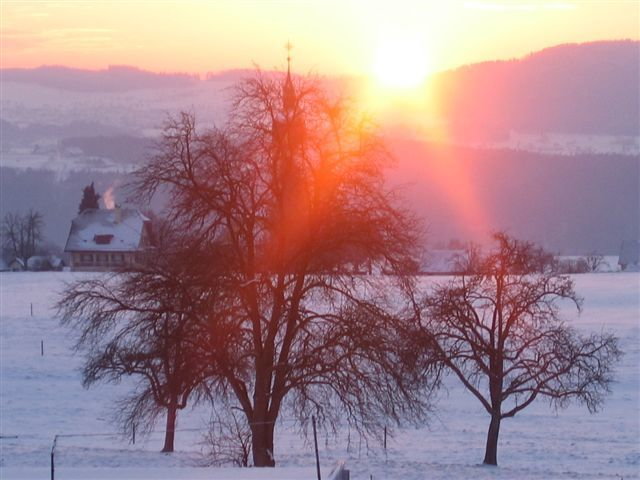 Zoom: januar_1.jpg
