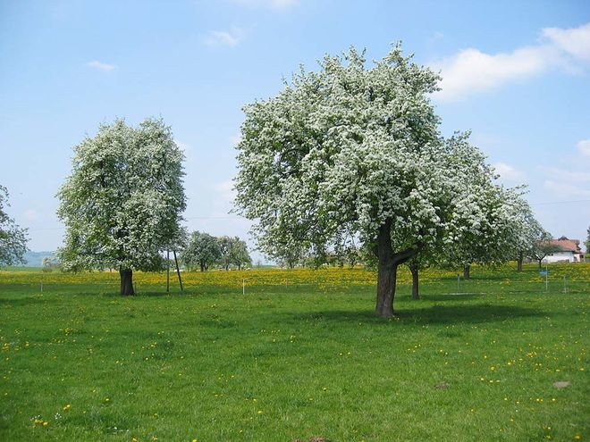 Zoom: 126_2646.jpg