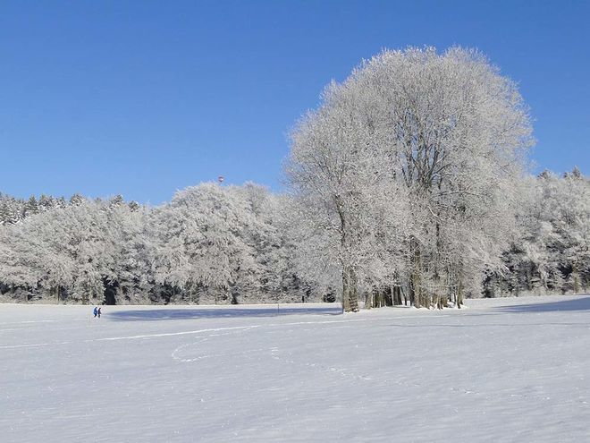 Zoom: bilderbuchwetter_am_26.12..jpg