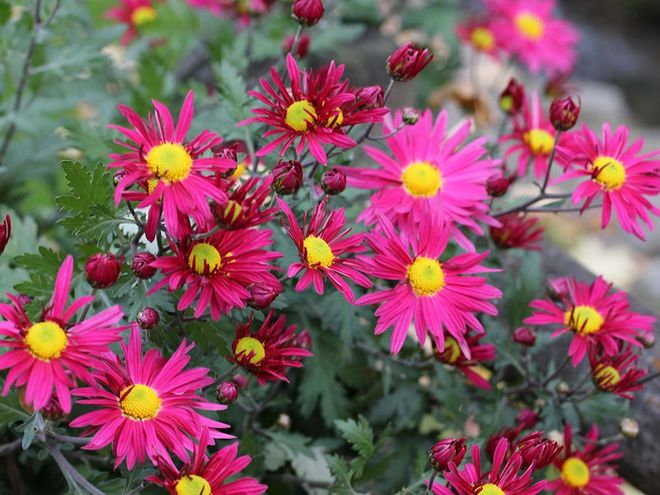 Zoom: img_3097.jpg
