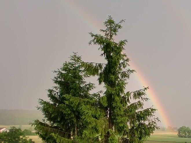 Zoom: juni_10_mb_005.jpg