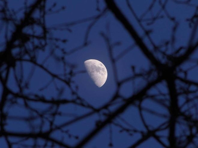 Zoom: mond.jpg