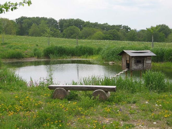 Zoom: biotop_nschongau.jpg