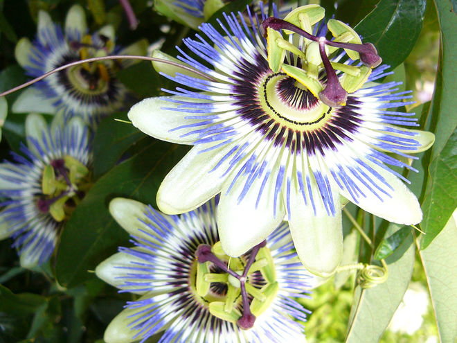 Zoom: 2010_09.jpg
