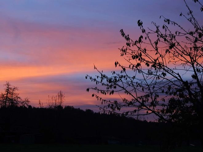 Zoom: dsc02679.jpg