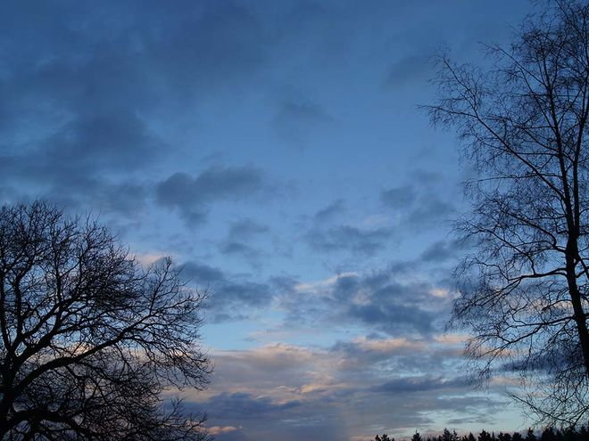 Zoom: dsc07747.jpg