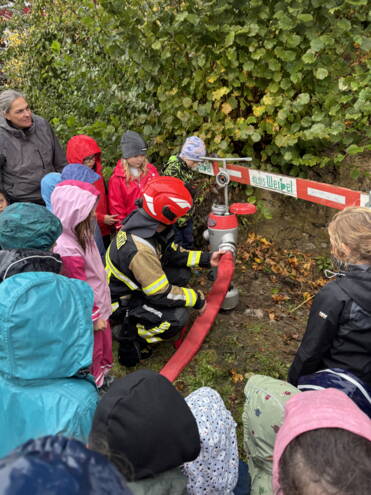 image00038_691c7d79b7261fe2c3eefd5a.jpeg image00038_691c7d79b7261fe2c3eefd5a.jpeg