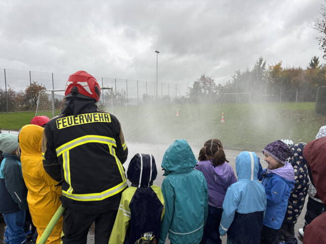 image00031_691c7d78b7261fe2c3eefd20.jpeg image00031_691c7d78b7261fe2c3eefd20.jpeg