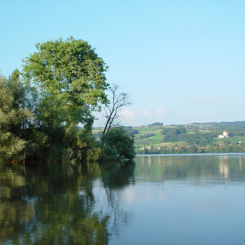 baldeggersee.png baldeggersee.png